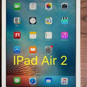 iPad Air 2 ゴールド Apple タブレット 本体