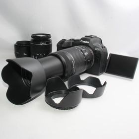 キャノン Canon EOS R6 MARK II 手振れ補正ダブルズーム＋単焦点レンズ 当店限定多数のオマケ付き