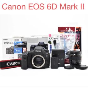 Canon EOS 6D Mark II / Canon EF 35-80mm
