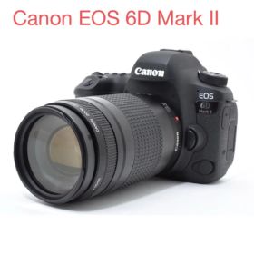 Canon EOS 6D Mark II /Canon EF75-300mm