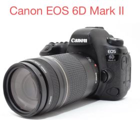 デジタル一眼レフカメラCanon EOS 6D Mark II 望遠レンズセット