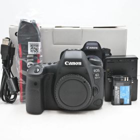 シャッター回数『4191』Canon デジタル一眼レフカメラ EOS 6D Mark II ボディ