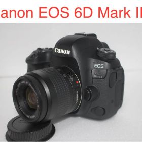 Canon EOS 6D Mark II / Canon EF 35-80㎜