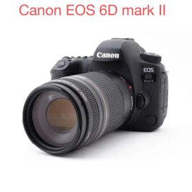 デジタル一眼レフカメラCanon EOS 6D Mark II 望遠レンズセット