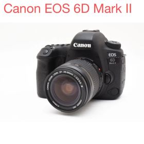 保証付き/デジタル一眼レフカメラ Canon EOS 6D Mark II