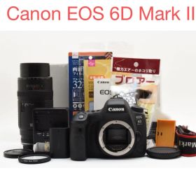 Canon EOS 6D Mark II /Canon EF 100-300mm