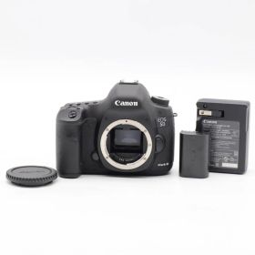 ショット数1254 極美品 Canon EOS 5D Mark III ボディ