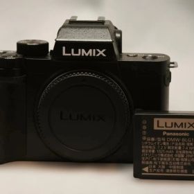 Panasonic LUMIX DC-G100