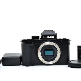 ★極上★ パナソニック Panasonic LUMIX DC-G100 ボディ 《ショット数905回！》★完動品★ #44P95A512214