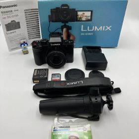 【動作確認済】Panasonic LUMIX DC-G100V 標準ズームキット 美品
