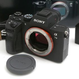 【中古】【並品】ソニー α7 III ILCE-7M3 ボディ（社外品） CA01-B4273-2P4 SONY Eマウント フルサイズ 5軸手ブレ補正 EVF 中古