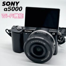 SONY α5000 ミラーレス一眼カメラ 16-50mm レンズキット