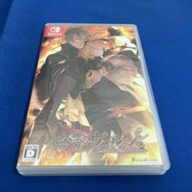 ニンテンドースイッチ 終遠のヴィルシュ-ErroR:salvation-