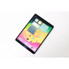 並品｜Apple iPad Pro 10.5インチ Wi-Fi+Cellular 64GB MQEY2J/A SIMフリー スペースグレイ HA03-M5923-2G9