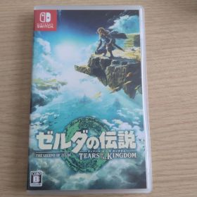 ゼルダの伝説 ティアーズ オブ ザ キングダム