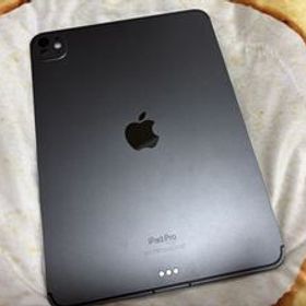 美品 iPad Pro 11(第5世代) M4 256GB セルラー バッテリー98%