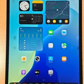 iPad Pro 12.9 第5世代 256GB SIMフリー 変色あり
