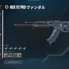 VALORANT引退アカウント 1stオーナー