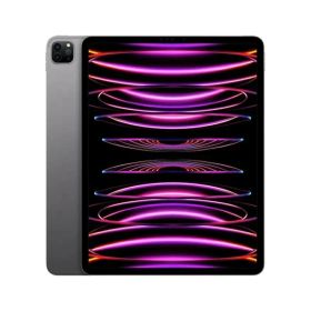 【正規品】Apple 12.9インチ iPad Pro(M2)Wi-Fiモデル MNXY3J/A 2TB スペースグレイ 送料無料 新品