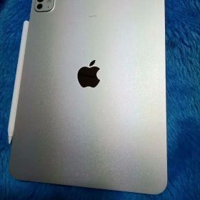 ipad pro m5 11インチ 256gbモデル おまけ付き