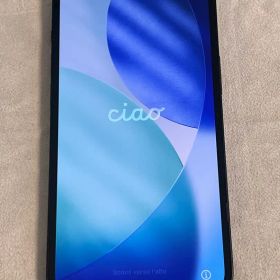 iPhone13 256G ブラック ケース、画面保護シール着用で使用