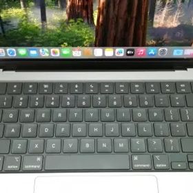 Apple MacBook Pro 14インチ CTO (14インチ,M3,2023) スペースグレイ M3(CPU:8C/GPU:10C)/8G/512G