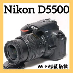 ✨桜撮影に✨Nikon D5500✨シングルレンズ✨初心者におすすめ