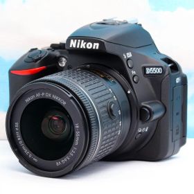 ニコン Nikon D5500⭐️スマホ転送機能付⭐️超高画質2416万画素