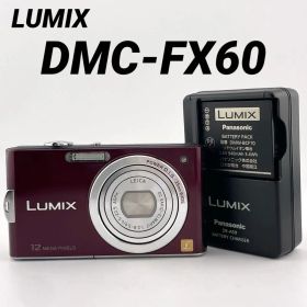 実写美⭕️【動作確認済】Panasonic LUMIX DMC-FX60