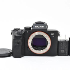 ★極上品★《ショット数3,969回 》ソニー SONY α7 III ボディ ILCE-7M3★ YM9754＃10