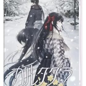 新品 カルタグラ - Switch