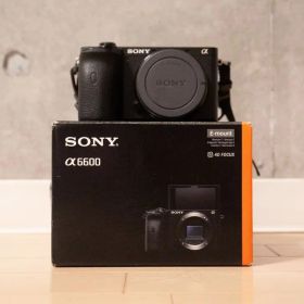 【値下げしました】SONY α6600 ILCE-6600 ボディ