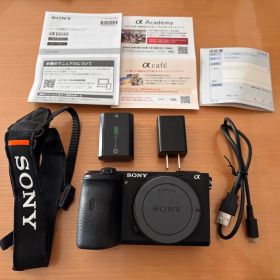 SONY α6600 ボディ (ILCE-6600) 高性能ミラーレス