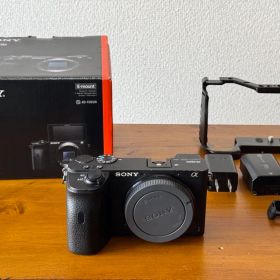 SONY α6600 ＋付属品＋元箱＋おまけでリグ付き！