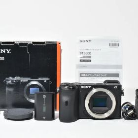 ■ほぼ新品■ ソニー α6600 ミラーレス #D087