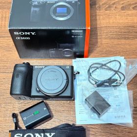 SONY α6600 ミラーレスカメラ 本体