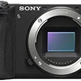 ソニー SONY ミラーレス一眼 α6600 ボディ ブラック ILCE-6600
