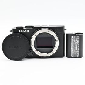 ★美品★Panasonic LUMIX S9 ボディ DC-S9-K ジェットブラック