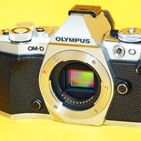 ★一発即決★訳あり★オリンパス★OM-D「E-M5 Mark II」シルバー★最新ファームウェアに更新済です★ミラーレス★Mark2★MarkII★