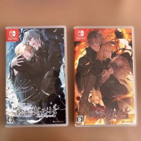 終遠のヴィルシュ 終ヴィル Switch 2本セット
