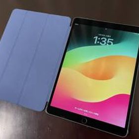 【輝度ムラ・液晶傷】256GB iPad Pro 10.5インチ Wi-Fi + Cellular スペースグレイ