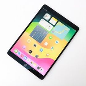 並品｜Apple iPad Pro 10.5インチ Wi-Fi+Cellular 64GB MQEY2J/A SIMフリー スペースグレイ HA03-M5923-2G9