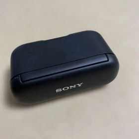 ソニー ワイヤレスイヤホン WF-H800