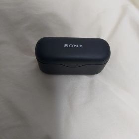 SONY WF H800(箱無し)