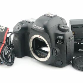 ★美品★ショット数:49,740枚★キヤノン CANON EOS 5D Mark IV ボディ 充電器付★ W0295＃4538