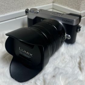 PanasonicDMC-GX7MK2 LUMIX14-140mmF3.55.6