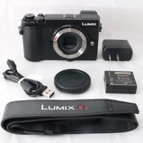 ☆美品・ショット数1631☆ Panasonic LUMIX GX7 Mark III ボディ ブラック DC-GX7MK3-K パナソニック ミラーレス一眼カメラ ルミックス #4747