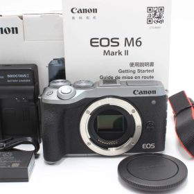 2000ショット以下！Canonキャノン EOS M6 Mark II