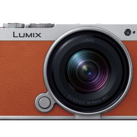 パナソニック LUMIX DC-S9N 広角ズームレンズキット