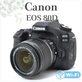 動画滑らか✨️超美品✨Canon EOS 80D✨シングルレンズ Wi-Fi接続